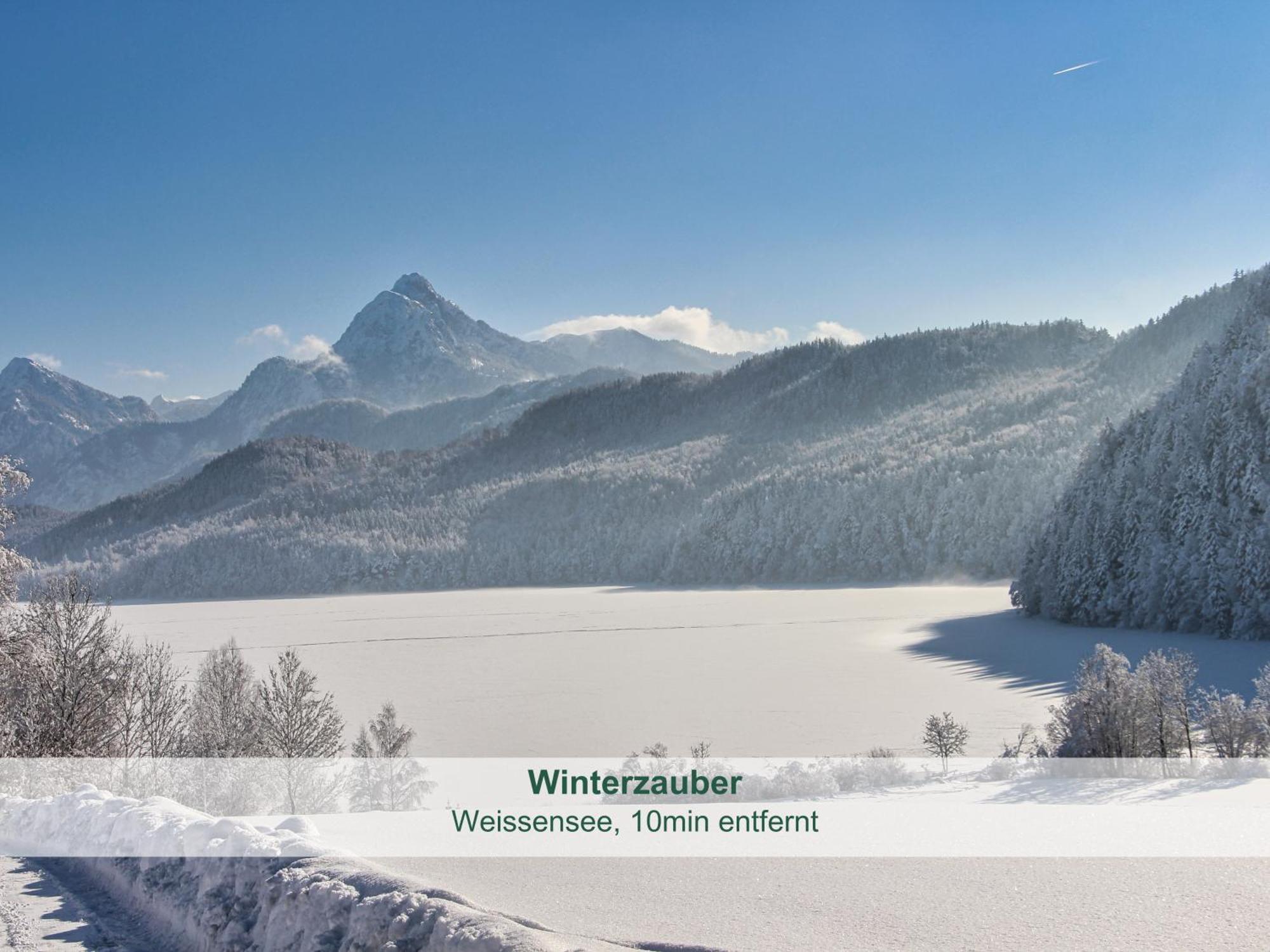 Chalet - Ferienwohnungen - Biohof Stoeger - Panoramasuedbalkon - Grandiose Aussicht Auf See, Berge Und Schloss Neuschwanstein Rieden Exteriér fotografie