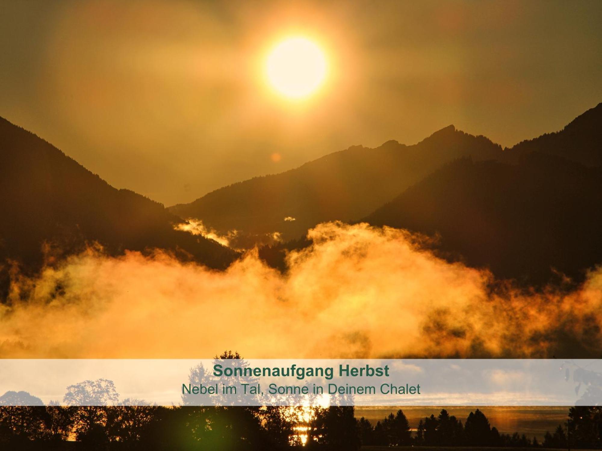Chalet - Ferienwohnungen - Biohof Stoeger - Panoramasuedbalkon - Grandiose Aussicht Auf See, Berge Und Schloss Neuschwanstein Rieden Exteriér fotografie