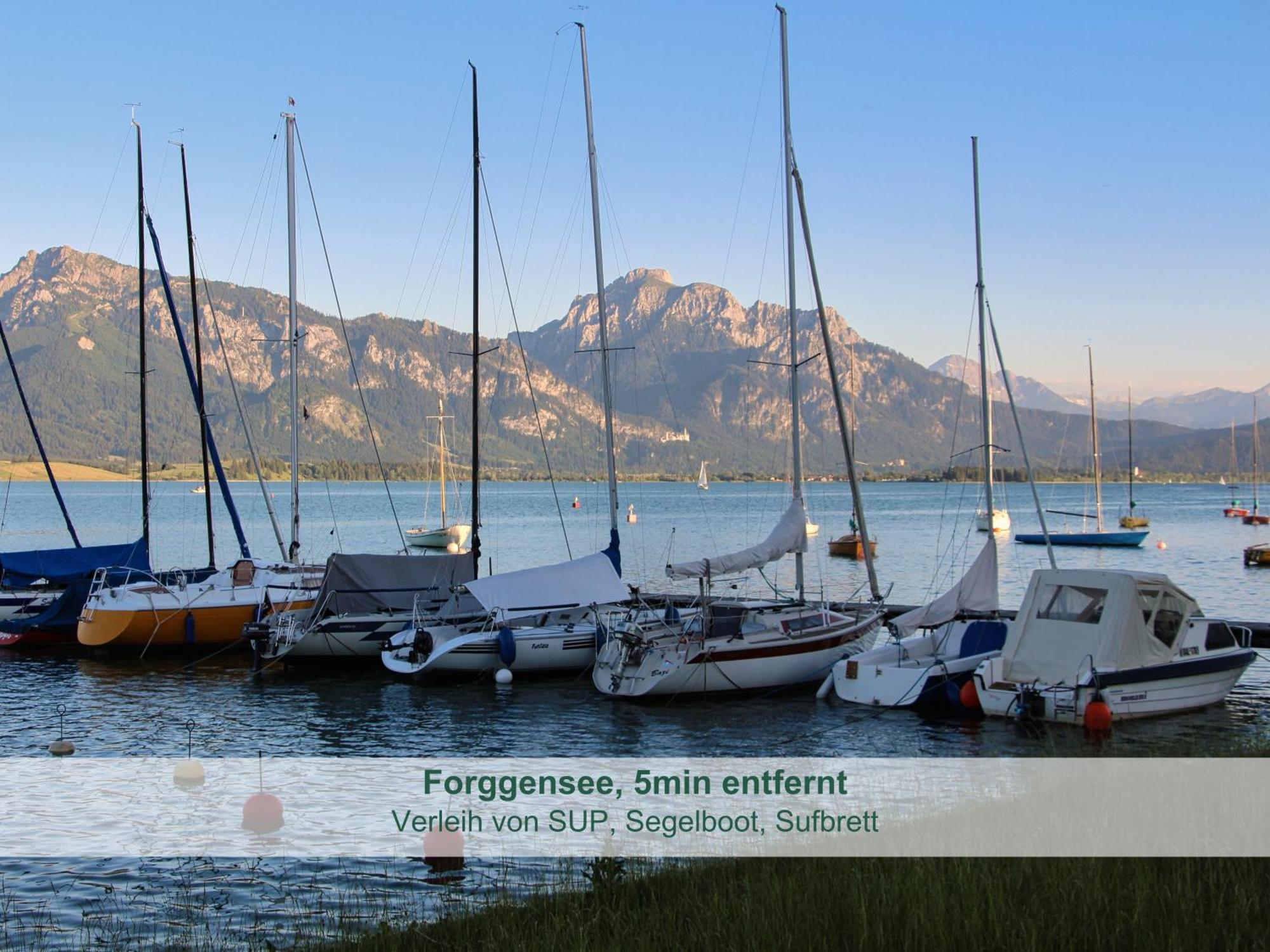 Chalet - Ferienwohnungen - Biohof Stoeger - Panoramasuedbalkon - Grandiose Aussicht Auf See, Berge Und Schloss Neuschwanstein Rieden Exteriér fotografie